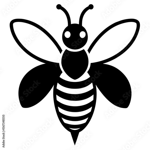 A black bee is isolated on white background