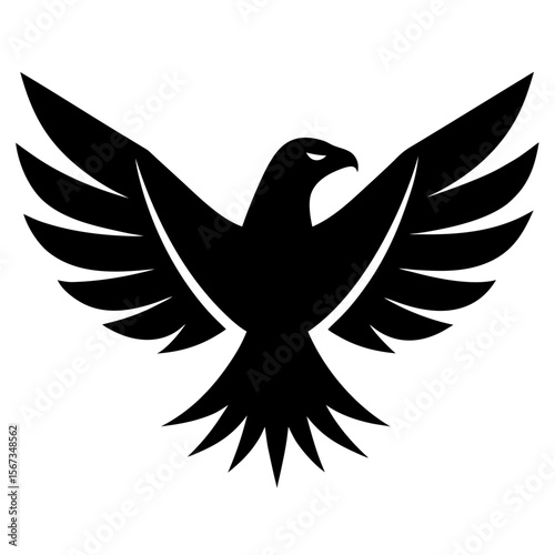 A black eagle spreads its wings isolated on white background