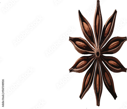 star anise isolated on white background