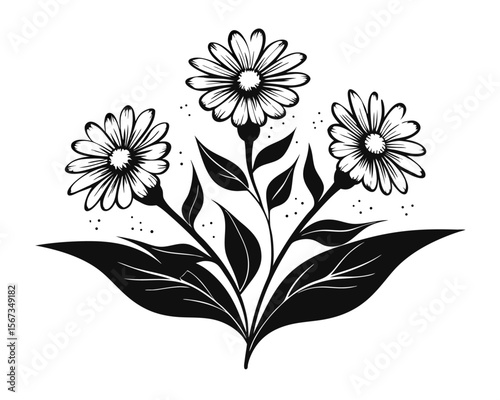 Artistic depiction of delicate chamomile flowers and their beneficial properties showcasing natural beauty and herbal wellness in a clean graphic presentation