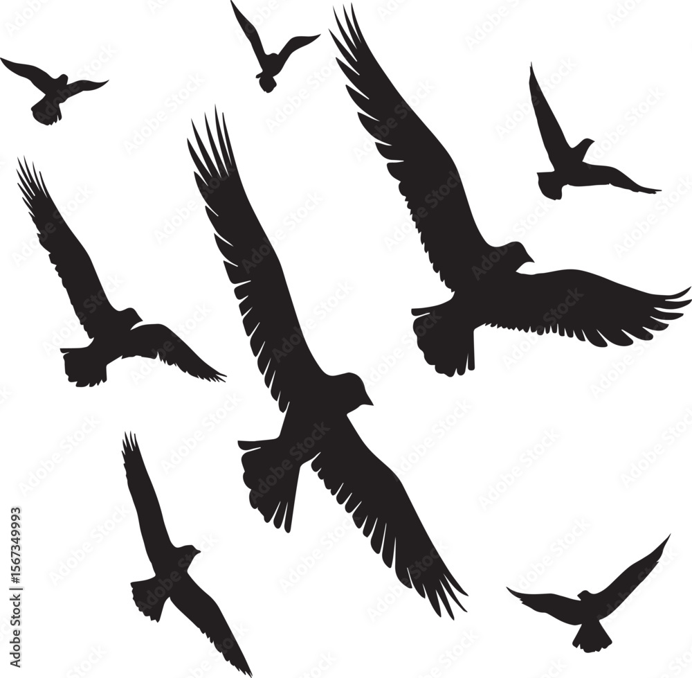 Obraz premium set of silhouettes of birds