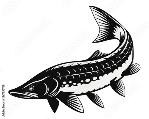 Artistic rendering of a sterlet sturgeon a species of acipenser captured in a delicate watercolor style with vibrant hues of cyan magenta yellow and black