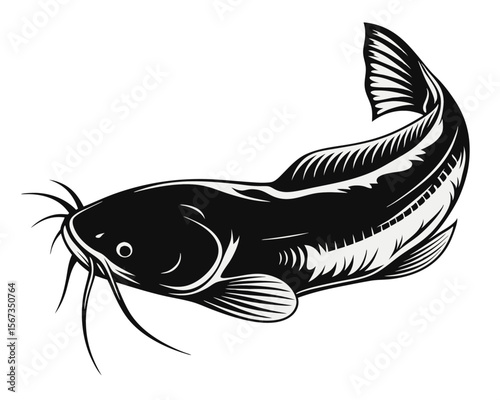 Artistic rendering of a large european catfish known as wels or sheatfish depicted with a fluid watercolor inspired artistic style showcasing its elongated body and distinctive features