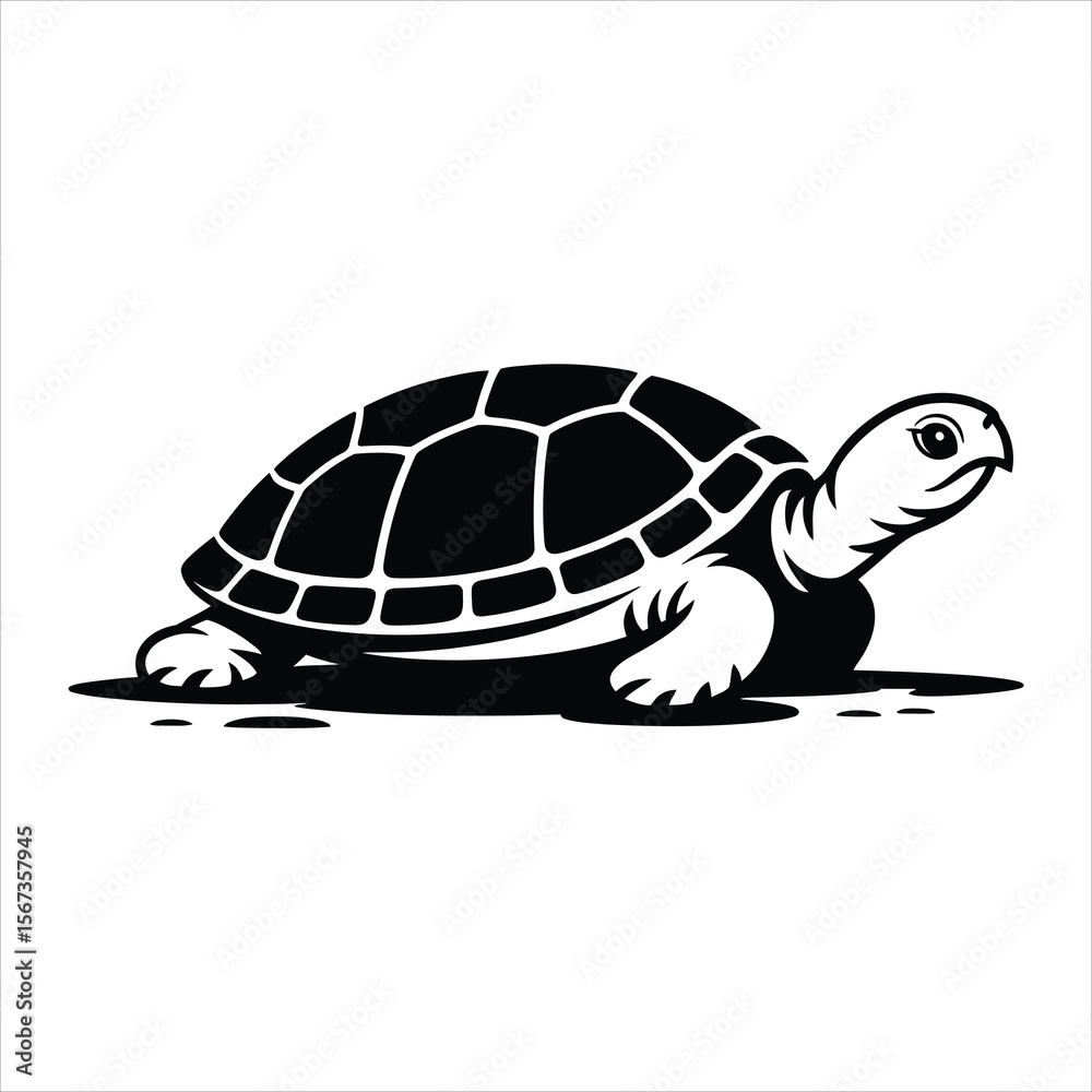 Fototapeta premium Black and White Turtle Illustration Vector Graphic Design