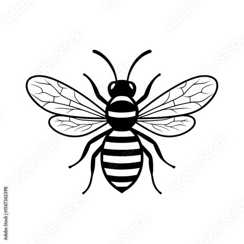 Detailed black line icon of a honey bee with transparent wings and striped body