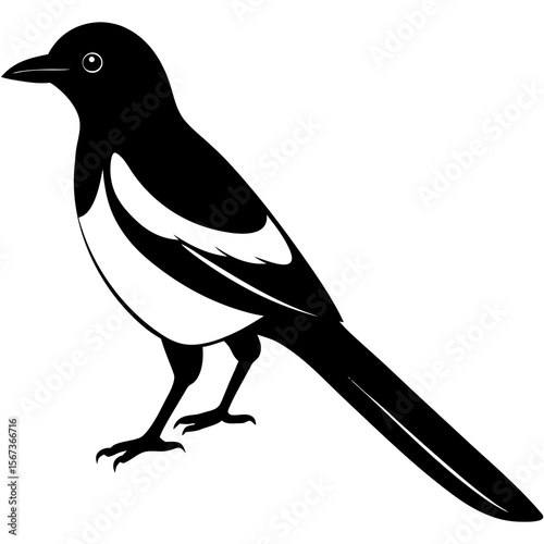 vector illustration of a duel bird