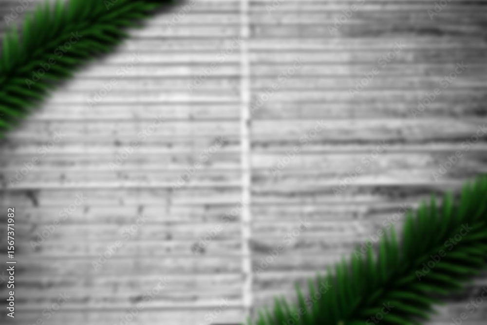 Obraz premium Blurred fir branches on wood