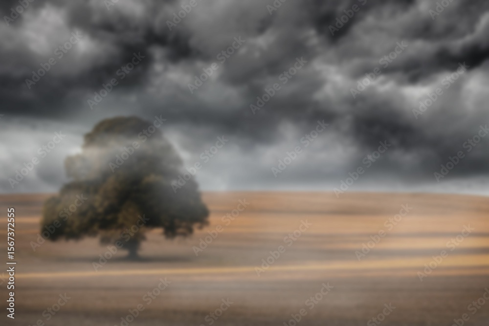 Fototapeta premium Storm clouds over tree on field