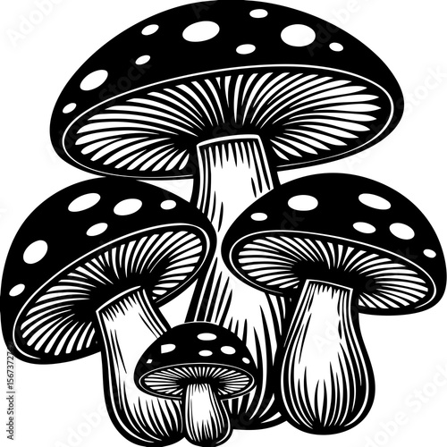 Stylized black and white illustration of a cluster of spotted mushrooms