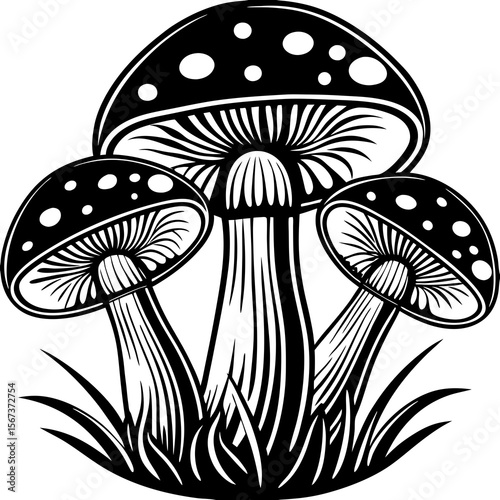 Stylized black and white illustration of three spotted mushrooms in grass