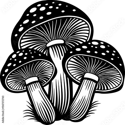 Stylized black and white illustration of three spotted mushrooms
