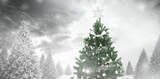 Christmas tree in snowy forest