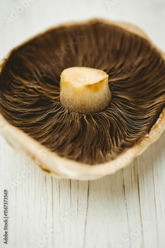 Fresh mushroom on wooden table