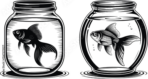 Silhouette vector pair of goldfish in jars with transparent water and detailed fin illustration