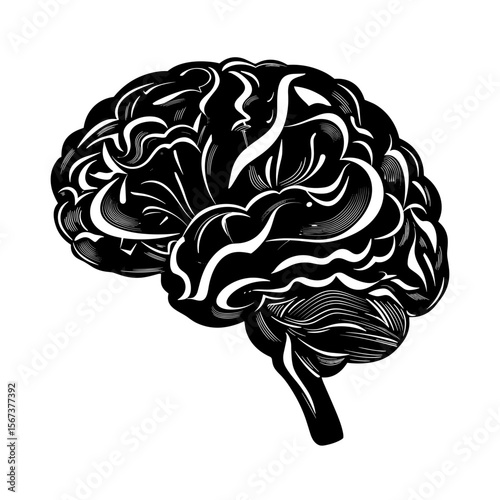 Artistic illustration of a human brain in black and white design  