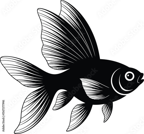 Detailed silhouette vector of single fancy goldfish with long fins and flowing movement in elegant line art