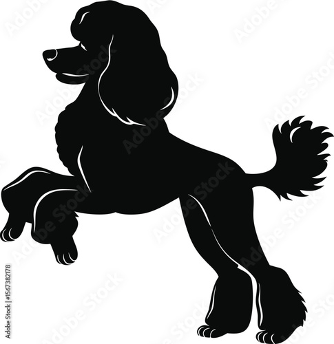 "Horse and Dog Silhouette Vector – Labrador, Retriever, Stallion & Pet Animal Illustration"











