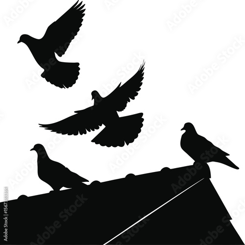 "Bird Silhouettes Vector – Dove, Pigeon, Crow & Flying Wildlife Illustration Set"










"Bird Silhouettes Vector – Dove, Pigeon, Crow & Flying Wildlife Illustration Set"










Ask ChatGPT
