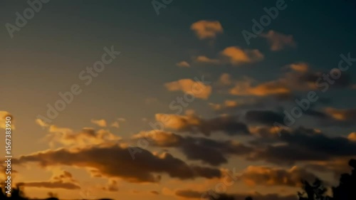 Golden sunset cloudscape over trees