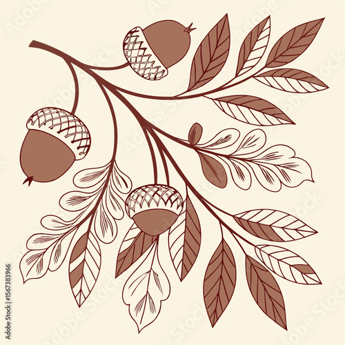 Autumn acorn branch illustration in earthy tones and vintage style