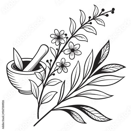Botanical illustration mortar and pestle
