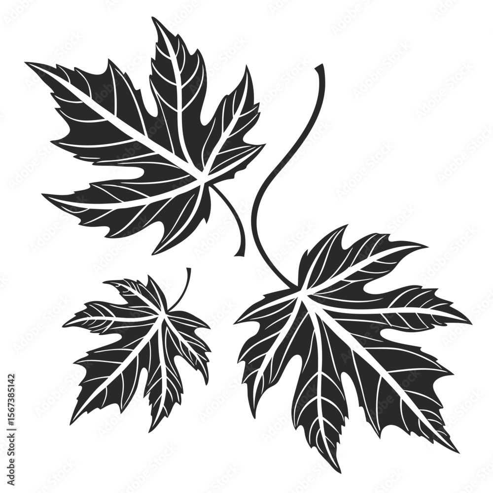 Naklejka premium Black and white maple leaves design