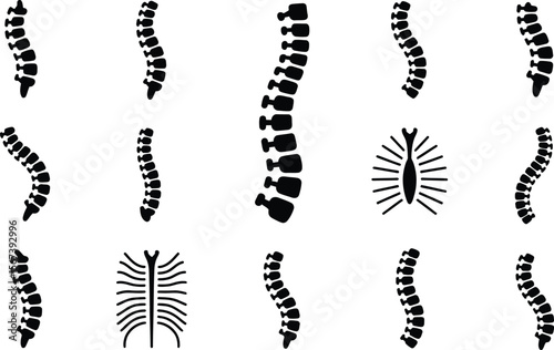 Black Spine Illustrations Medical Anatomy Diagrams Set