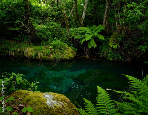 Mystical woodland pond at night with glowing cyan algae reflections and mossy stones. Soft ferns and floating light specks evoke a surreal, cinematic forest scene with ambient depth.