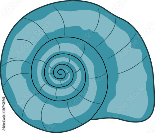 nautilus shell vector illustration