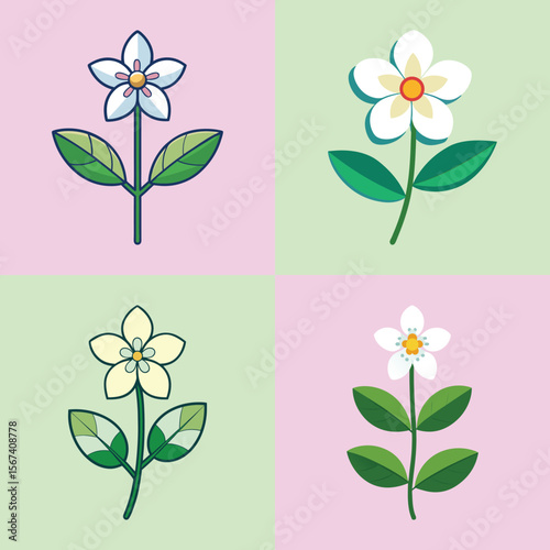 Anemopsis Yerba Mansa Flower Flat Style Botanical Vector Illustration

