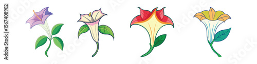 Angel’s Trumpet Flat Illustration Tropical Fragrant Night-Blooming Flower