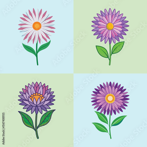 Aster Flower Flat Illustration Fall Blooming Perennial Design