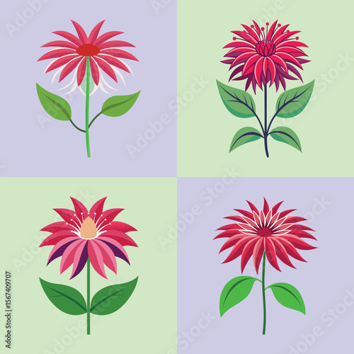 Bee Balm Flat Illustration Pollinator-Friendly Garden Flower Design