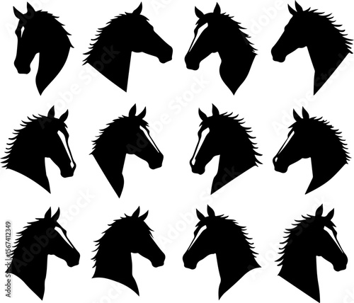 Twelve Horse Head Silhouettes in Black and White Displaying Various Breeds and Markings for Equestrian Designs and Artistic Representations