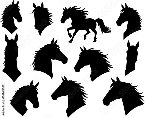 Collection of Horse Silhouettes in Various Poses and Angles Black on White Background Graphic Design Element set