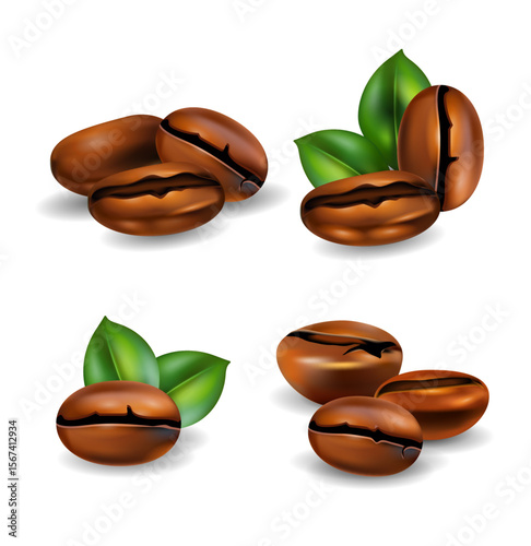 coffee beans vector