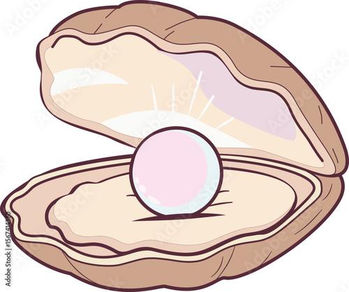 Pearl shells vector illustration