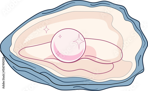 Pearl shells  vector illustration