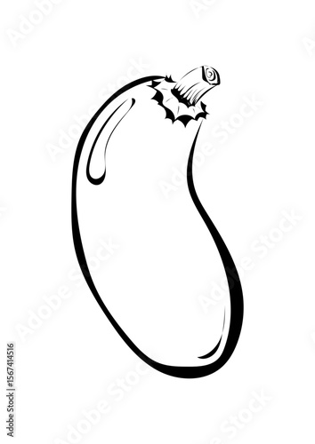 Aubergine 