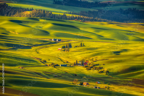 The rolling hills of the Palouse seen from Steptoe Butte