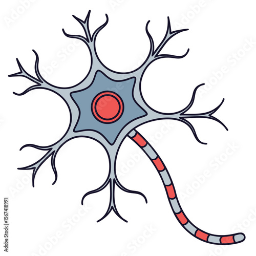 Stylized Neuron Illustration with Dendrites and Axon