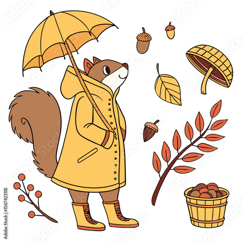 Autumn squirrel with umbrella and forest elements raincoat
