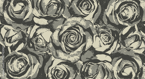 Elegant grayscale roses create a vintage and sophisticated floral tapestry backdrop