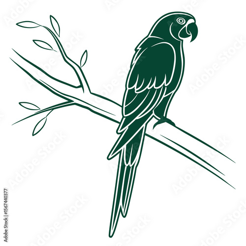 vector illustration of a parrot