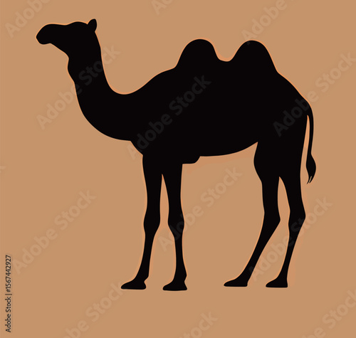 Silhouette of a camel against a warm backdrop.