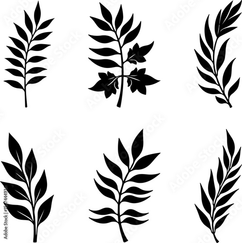 set of black leaves, feather, vector, bird, illustration, pattern, leaf, art, pen, design, nature, decoration, silhouette, set, plant, symbol, quill, vintage, icon, seamless, drawing, wing, color, bla