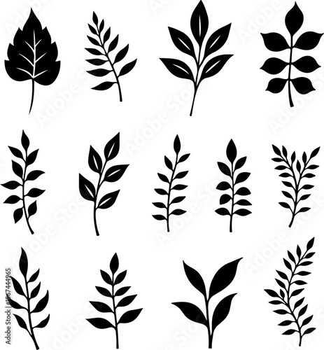 set of black leaves, feather, vector, bird, illustration, pattern, leaf, art, pen, design, nature, decoration, silhouette, set, plant, symbol, quill, vintage, icon, seamless, drawing, wing, color, bla