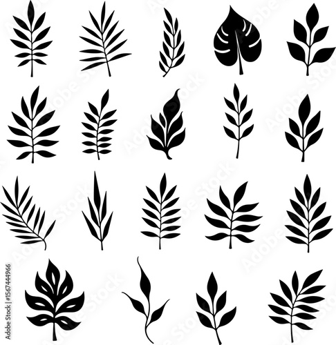 set of black leaves, feather, vector, bird, illustration, pattern, leaf, art, pen, design, nature, decoration, silhouette, set, plant, symbol, quill, vintage, icon, seamless, drawing, wing, color, bla