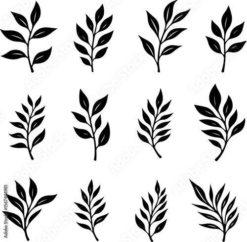 set of black leaves, feather, vector, bird, illustration, pattern, leaf, art, pen, design, nature, decoration, silhouette, set, plant, symbol, quill, vintage, icon, seamless, drawing, wing, color, bla
