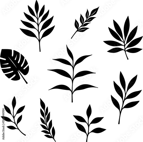 set of black leaves, feather, vector, bird, illustration, pattern, leaf, art, pen, design, nature, decoration, silhouette, set, plant, symbol, quill, vintage, icon, seamless, drawing, wing, color, bla